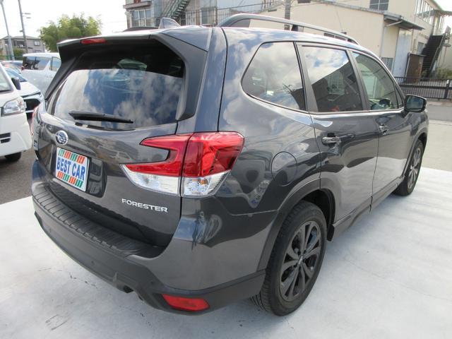 フォレスター Ｘ－エディション　４ＷＤ　アイサイト　純正８インチナビフルセグＴＶ　フロント＋サイド＋バックカメラ　パワーバックドア　アダプティブクルーズコントロール　ドラレコ　ＥＴＣ　シートヒーター　パワーシート　ＬＥＤヘッドライト（17枚目）