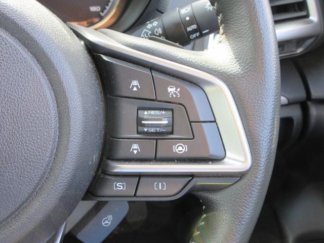 フォレスター Ｘ－エディション　４ＷＤ　アイサイト　純正８インチナビフルセグＴＶ　フロント＋サイド＋バックカメラ　パワーバックドア　アダプティブクルーズコントロール　ドラレコ　ＥＴＣ　シートヒーター　パワーシート　ＬＥＤヘッドライト（25枚目）