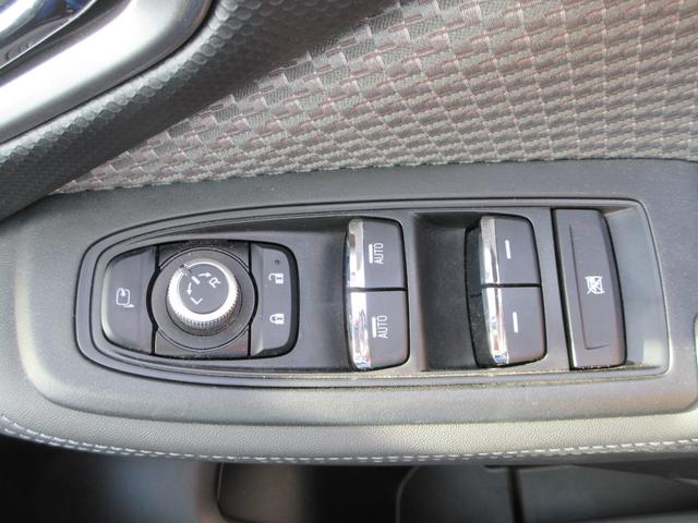 フォレスター Ｘ－エディション　４ＷＤ　アイサイト　純正８インチナビフルセグＴＶ　フロント＋サイド＋バックカメラ　パワーバックドア　アダプティブクルーズコントロール　ドラレコ　ＥＴＣ　シートヒーター　パワーシート　ＬＥＤヘッドライト（31枚目）