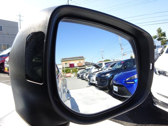 フォレスター アドバンス　４ＷＤ　純正８インチナビ　フルセグＴＶ　バックカメラ　サイドカメラ　ＥＴＣ　アダプティブクルーズコントロール　レーンキープアシスト　ルーフレール　ＰＵＳＨスタート　シートヒーター（27枚目）