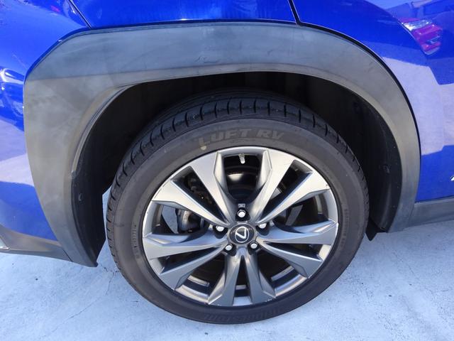 ＵＸ ＵＸ２５０ｈ　Ｆスポーツ　レザーシート　純正１２．３インチナビ　フルセグＴＶ　パワーバックドア　バックカメラ　ＥＴＣ２．０　Ｂｌｕｅｔｏｏｔｈ　ＤＩＳＣ　ＵＳＢ　アダプティブクルーズコントロール　レーンキープアシスト（19枚目）