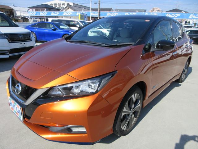 リーフ ｅ＋　Ｇ　プロパイロット　純正９インチナビ　フルセグＴＶ　全周囲カメラ　ＢＯＳＥサウンド　ドラレコ　ＥＴＣ　ハーフレザーシート　シートヒーター　ステアリングヒーター　ＬＥＤヘッドライト　急速充電　充電ケーブル（4枚目）