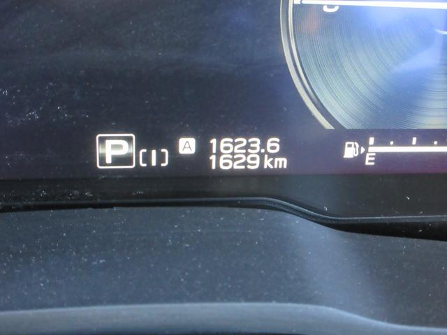 SUBARU LEVORG V-SPORT