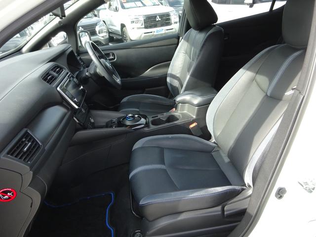 リーフ e+ G プロパイロット BOSEスピーカー 純正ナビ フルセグTV アラウンドビューモニター ドライブレコーダー ETC Bluetooth DISC USB ブラインドスポットモニター レーンキープアシスト(49枚目)