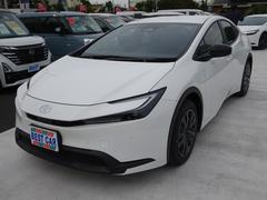 ץꥦ ءã֡գӣ¡ץƥ֥롼ȥ롡֥饤ɥݥåȥ˥ 0560010A30251022W001 6