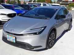 ץꥦ ءȥ西եƥ󥹡ʥӡե륻ԣ֡Хå 0560010A30251125W010 6