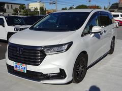 ǥåϥ֥å 塧ȣţ֥֥롼ȡţء쥶Ƚʥӡե륻ԣ֡ʥեåץ˥ 0560010A30251204W005 6