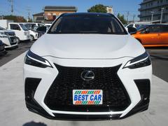 Σ Σأ衡ƥݡġԣңĥѥΥޥࡼ롼աܳץ 0560010A30251204W015 5