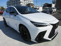 Σ Σأ衡ƥݡġԣңĥѥΥޥࡼ롼աܳץ 0560010A30251204W015 6