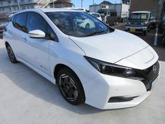 �꡼�� ��ܡ��ء������ǥ롡������������ʥӡ��ե륻���ԣ� 0560010A30251210W010 6