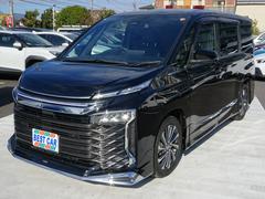 ���������� �ϥ��֥�åɣӡݣڡ���ǥꥹ����������������������������ʥӡ��ե륻���ԣ֡�ξ¦�ѥ���饤�ɥɥ� 0560010A30251212W003 6