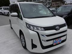 �Υ� �ء��ȥ西�����եƥ����󥹡�������������ʥӡ��ѥ���饤�ɥɥ����Хå������ 0560010A30251227W007 7