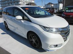 ���ǥå��� ���֥��롼�ȡ��ţإۥ�����󥷥󥰡�������������ʥӡ��ե륻���ԣ֡��Хå������ 0560010A30251227W008 6