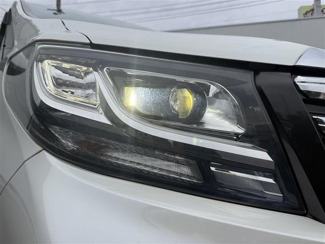 アルファード ２．５Ｓ　両側電動パワースライドドア　地上デジタル　Ｗエアコン　フルオートエアコン　盗難防止システム　横滑り防止　ＡＷ　ナビ＆ＴＶ　パワーステアリング　メモリナビ　点検記録簿　ＬＥＤランプ　キーレスエントリー（27枚目）