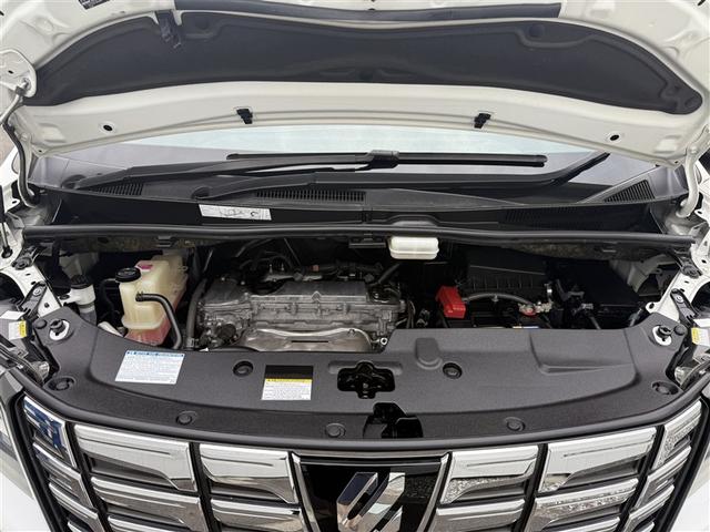 アルファード ２．５Ｓ　両側電動パワースライドドア　地上デジタル　Ｗエアコン　フルオートエアコン　盗難防止システム　横滑り防止　ＡＷ　ナビ＆ＴＶ　パワーステアリング　メモリナビ　点検記録簿　ＬＥＤランプ　キーレスエントリー（31枚目）