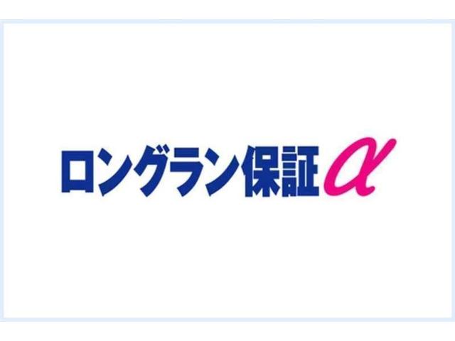 G Lパッケージ メモリーナビ ワンセグ イモビライザー(10枚目)