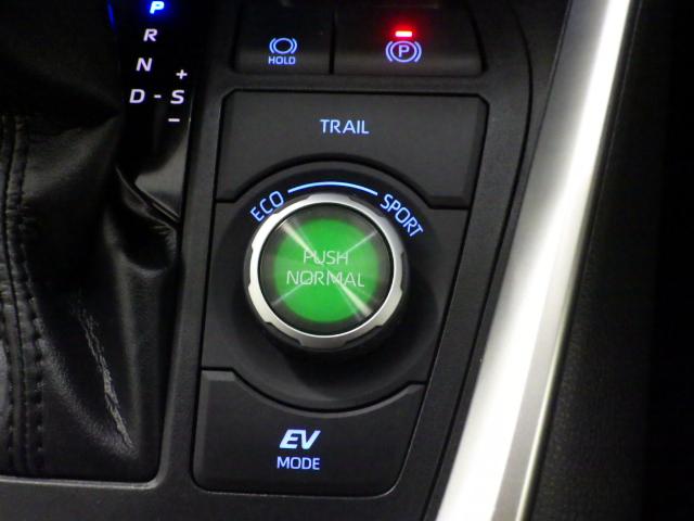 RAV4 ハイブリッドG 禁煙1オーナー 9インチナビ インテリアイルミ バックモニター セーフティセンス クリアランスソナー パワーテールゲート レーザークルコン パーキングサポート ETC2.0 プリクラッシュセーフティ(37枚目)