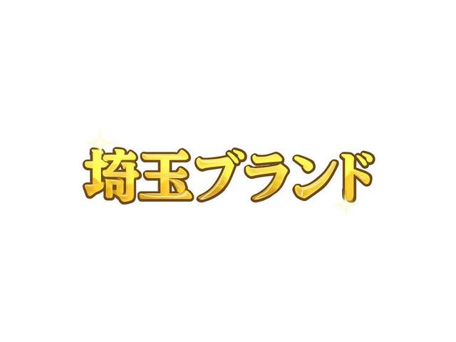 アルファード ２．５Ｓ　タイプゴールドＩＩ　トヨタセーフティセンス　ディスプレイオーディオ　ＣＤ／ＤＶＤデッキ　ブルートゥース／ＵＳＢ接続可　バックモニター　ＥＴＣ２．０　ＡＣ１００Ｖ電源　電子インナーミラー　パワーバックドア　点検記録簿（38枚目）