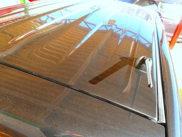 �l�C�̃c�[�g���J���[�̃��[�t�ł���