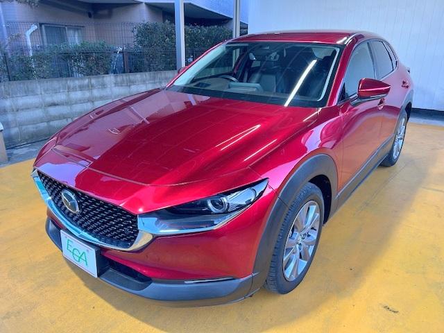 ＣＸ－３０ ２０Ｓ　Ｌパッケージ　修復歴なし　禁煙車　衝突軽減ブレーキ　ＡｐｐｌｅＣａｒＰｌａｙ／ＡｎｄｒｏｉｄＡＵＴＯ対応　全周囲モニター　純正ドライブレコーダー　レザーシート　電動シート　ディスプレイオーディオ　純正１８インチＡＷ（25枚目）