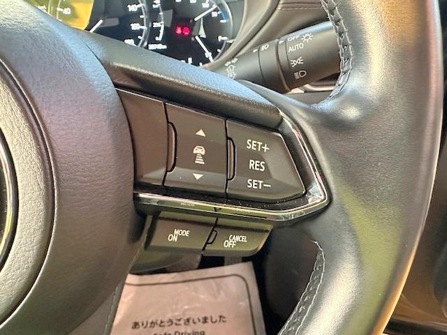 ＣＸ－８ ２５Ｓ　Ｌパッケージ　禁煙車　衝突軽減ブレーキ　７人乗り　白レザーシート　全周囲カメラ　ＢＯＳＥスピーカー　マツダコネクトナビ　シートヒーター　シートベンチレーション　電動リアゲート（32枚目）