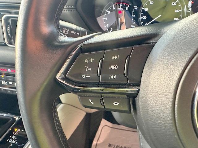 ＣＸ－８ ２５Ｓ　Ｌパッケージ　禁煙車　衝突軽減ブレーキ　７人乗り　白レザーシート　全周囲カメラ　ＢＯＳＥスピーカー　マツダコネクトナビ　シートヒーター　シートベンチレーション　電動リアゲート（34枚目）