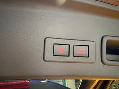 ��ư�ǥϥå������ĤǤ���ѥ�Хå��ɥ��դ����礭�ʥϥå���ܥ����Ĥǳ����Ĥ��ñ�����ʤ�������������Ǥ��� 6