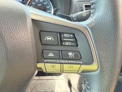 �����ץƥ��֥��롼������ȥ������դ���Ĺ��Υ��ư��ڡ���ǳ��θ����ޤ�ޤ��������Ǥ���͢� 6