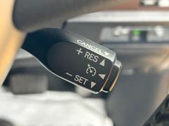 �����ȥ��롼������ȥ������դ���Ĺ��Υ��ư��ڡ���ǳ��θ����ޤ�ޤ��������Ǥ���͢� 5