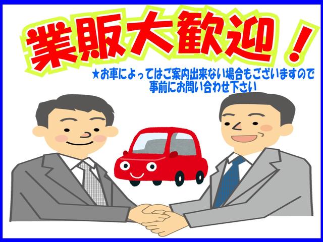 GパワーPKG ストラーダSDナビ後席モニター両パワBカメラ(76枚目)
