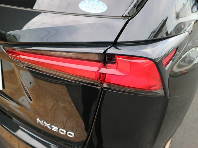 NX300 Fスポーツ 純正ドラレコ PKSB BSM(52枚目)