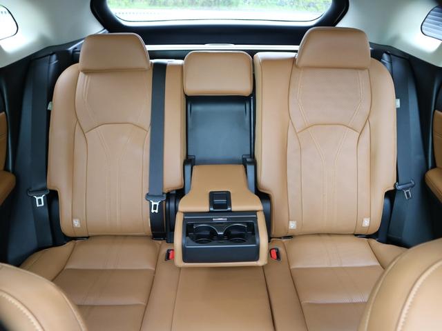 RX300 バージョンL ブレードスキャンAHS サンルーフ ブロンズカラード切削20インチAW 1オーナー(41枚目)