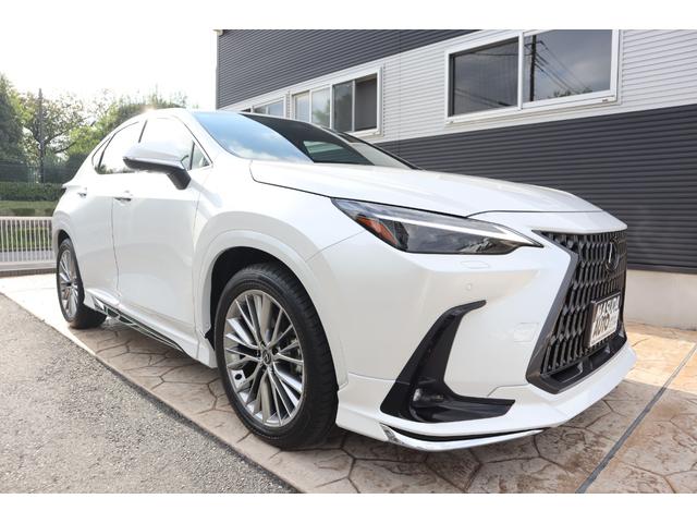 ＮＸ ＮＸ２５０　バージョンＬ　ワンオーナー　モデリスタエアロパーツ　マークレビンソン　デジタルインナーミラー　前後ドライブレコーダー　パノラミックビューモニター　後席シートヒーター　三眼ＬＥＤヘッドライト　パワーバックドア（3枚目）