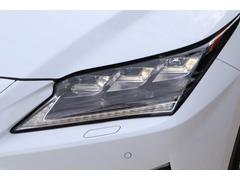 ץ󡢥ץƥ֥ϥӡॷƥࡢֻΤʸǤ륪ץǤ 5