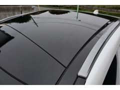 ץ󡢥ѥΥޥ롼աֻΤʸǤ륪ץǤ 3