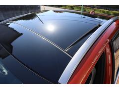 ץ󡢥ѥΥޥ롼աֻΤʸǤ륪ץǤ 3