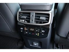 ץ󡢸ʥ٥졼ǽդȥҡֻΤʸǤ륪ץǤ 6