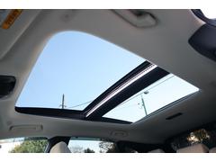 ץ󡢥ѥΥޥ롼աֻΤʸǤ륪ץǤ 3