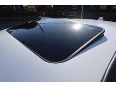 �������ץ���󡢥���롼�ա����ֻ��Τ���ʸ�Ǥ��륪�ץ����Ǥ��� 3