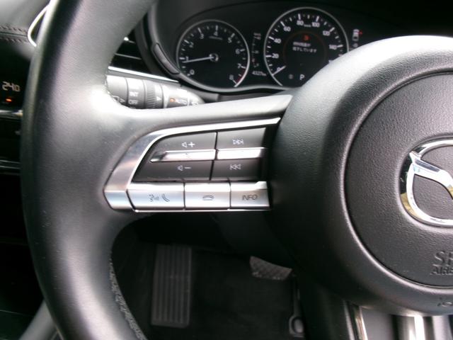 ＭＡＺＤＡ３ファストバック ２０Ｓプロアクティブ　ツーリングセレクション　純正ナビ　ＨＤＭＩ　フルセグＴＶ　ＤＶＤ再生　アラウンドビューモニター　ＥＴＣ　禁煙車　ＬＥＤヘッドライト　衝突軽減ブレーキ　踏み間違い防止　レーンアシスト　オートライト　前後コーナーソナー（34枚目）