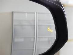 ֥饤ɥݥåȥ˥ټξΡɥߥ顼Ǥϳǧˤ塢¦ꥢ¸ߤξܶᤷƤξ⸡Τɥߥ顼ܤ줿̣ţĥ󥸥ޤ 6