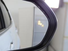 ֥饤ɥݥåȥ˥ټξΡɥߥ顼Ǥϳǧˤ塢¦ꥢ¸ߤξܶᤷƤξ⸡Τɥߥ顼ܤ줿̣ţĥ󥸥ޤ 5