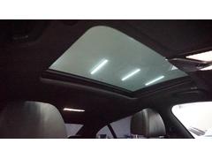 ꡼ 䡡ģ塡ͥݡġʥӡե륻 0560336A30251113W002 3