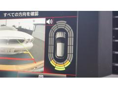 メガーヌ ルノー　スポール　ワーク１９インチアルミ　アイバッハダウンサス　デジタルインナーミラードラレコ 0560336A30251208W001 4