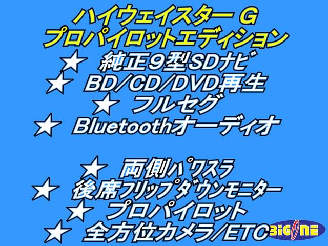 ハイウェイスターG プロパイロットエディション 純正9インチSDナビ BD/CD/DVD再生 地デジ BTオーディオ プロパイロット 後席フリップダウンモニター アラウンドビュー ハーフレザー 両パワスラ キックオープン 1オーナー車 ETC(4枚目)
