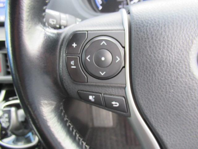 ハイブリッドZS 後期型 純正SDナビ CD再生 地デジ BTオーディオ 両パワスラ Bカメラ ETC ワンオーナー車 プリクラッシュセーフティ オートハイビーム 車線逸脱警報 クルーズコントロール(34枚目)