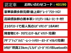 饯饦Ź͵Υ饦󤬤ꡪּ°åդзޤݤ̵ξǤμξӤǤޤ졼ɤħʤɡͳˤ 2