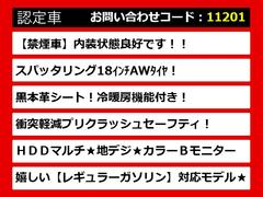 饯饦Ź͵Υ饦󤬤ꡪּ°åդзޤݤ̵ξǤμξӤǤޤ졼ɤħʤɡͳˤ 2