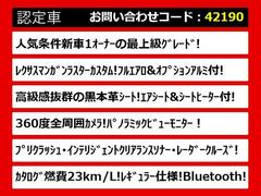 饯饦Ź͵Υ饦󤬤ꡪּ°åդзޤݤ̵ξǤμξӤǤޤ졼ɤħʤɡͳˤ 3