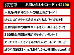 饯饦Ź͵Υ饦󤬤ꡪּ°åդзޤݤ̵ξǤμξӤǤޤ졼ɤħʤɡͳˤ 3